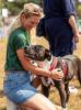 Country Dog Show 2025